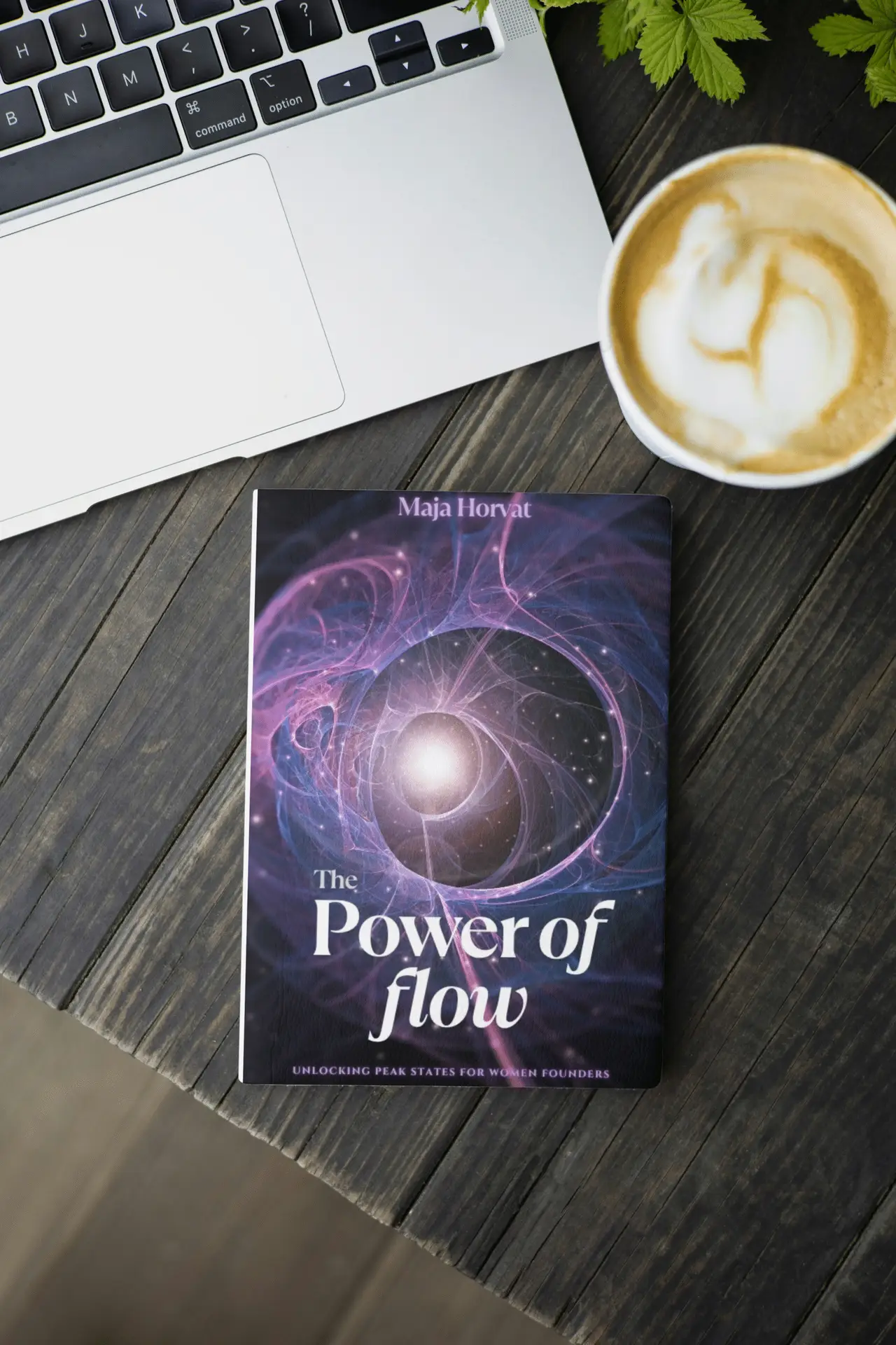 The Power of Flow: Unlocking Peak States for Women Founders (e-book) - Image 3